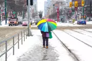 Toronto Braces for Freezing Rain: Yellow Warning Issued, Precipitation Timeline