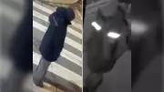 Toronto Police Hunt Suspect in Alleged Parkdale Sexual Assault