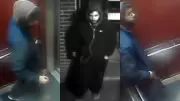 Toronto Police Seek Suspect in Flemingdon Park Sexual Assault Case