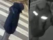 Toronto Police Seek Suspect in Parkdale Sexual Assault; Grimsby Shooting Arrests Continue
