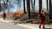 Toronto to Conduct Controlled Burns in High Park and Lambton Park for Savannah Protection