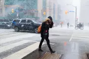 Toronto Under Special Weather Statement as Snow, Freezing Rain, and Wind Gusts Arrive