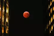 Toronto's Night Sky to Glow Red: Total Lunar Eclipse 'Blood Moon' Arrives