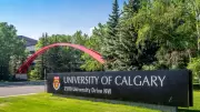 University of Calgary E. coli Research Halves Severe Complications in Groundbreaking Study