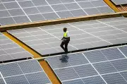 U.S. Solar Installations Decline in 2025 Following Trump Policy Shifts, Report Reveals