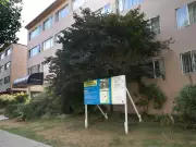 Vancouver Council Sends Stanley Park Hotel Proposal Back for Rental Housing Study