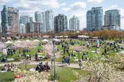 Vancouver's Final March Weekend: Cherry Blossoms, Monster Trucks & More