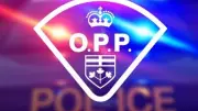 Vaughan Man Faces Weapon Assault Charges in Ontario Police Investigation