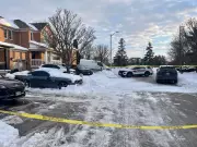 Vaughan Police Arrest Suspect in Shooting at Parked Vehicle, Surveillance Footage Captured