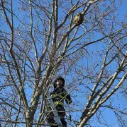 Vermont Firefighters Rescue Raccoon with Peanut Butter Jar Stuck on Head