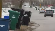 Weekly Roundup: Waste Cart Concerns, Ayr Fire, and Stratford Swan Parade Changes