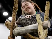 Wildlife Festival in Edmonton Showcases Animal Ambassadors and Family Fun