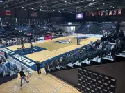 Windsor Businesses Score Big with Men's Volleyball Championship Economic Boost