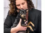 Windsor Humane Society Pleads for Responsible Pet Surrender After Injured Dog Found