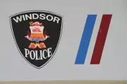 Windsor Police Charge Suspect in Series of Vehicle Thefts Across City
