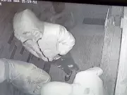 Windsor Police Seek Public Help to Identify Three Armed Home Invasion Suspects