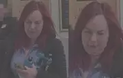 Windsor Police Seek Public's Help to Identify Eight Theft Suspects at Local Stores