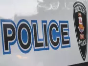 Windsor Police Seize $440K and Drugs, Arrest Three in Major Bust