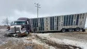 Wingham Transport Truck Driver Charged Following Single-Vehicle Crash Near Moorefield