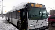 Winnipeg Police Transit Initiative Shows Measurable Impact on Overall Crime Rates
