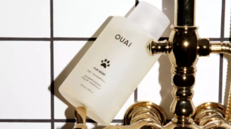 11 Essential At-Home Grooming Products Every Dog Owner Needs