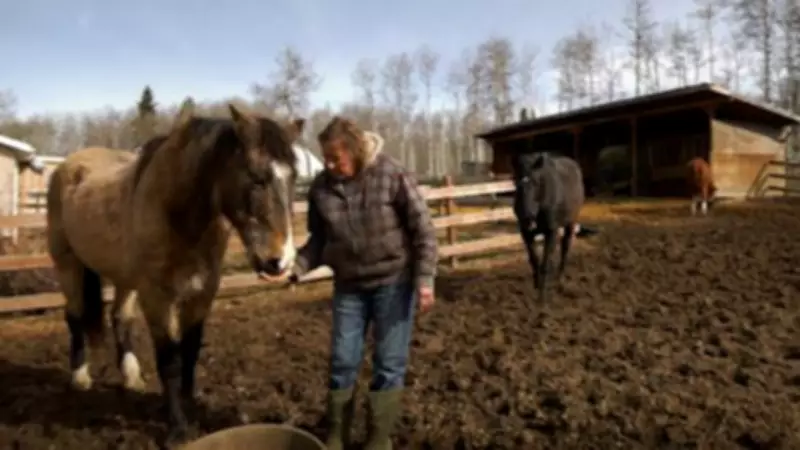 Alberta Halts Crowdfunding Pilot, Sparking Worry for Small Non-Profits