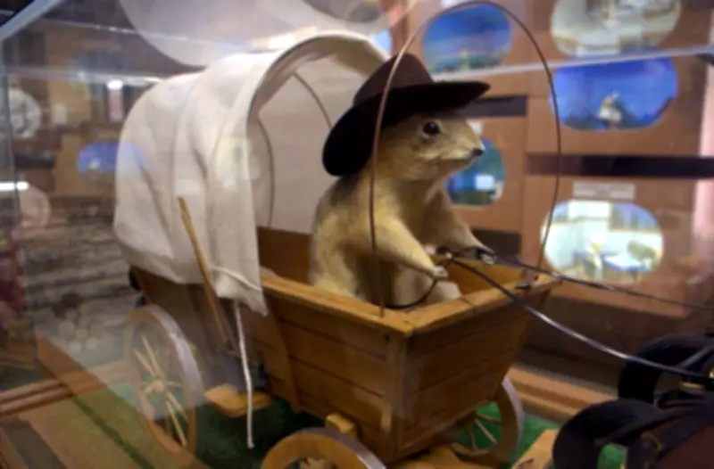 Alberta's Gopher Hole Museum Unveils Interactive Pop Culture Exhibit at 2026 Calgary Expo