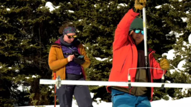 Alberta's Mountain Parks Report Above-Average Snowpack Accumulations This Season