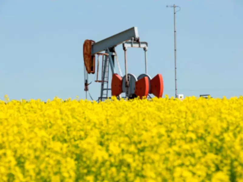 Alberta's Oil and Agriculture Drive Canada's Slowing Economy: Deloitte Report