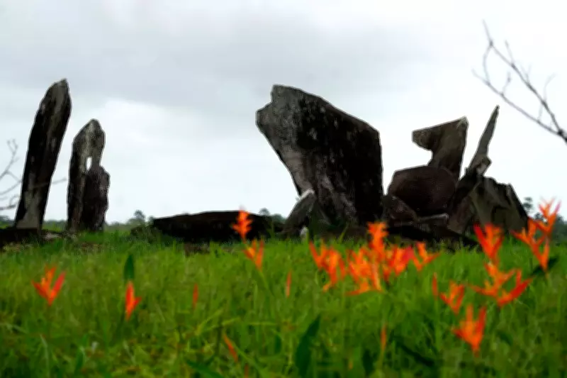 Amazon Digs Reveal Clues About Pre-Colonization Indigenous Life