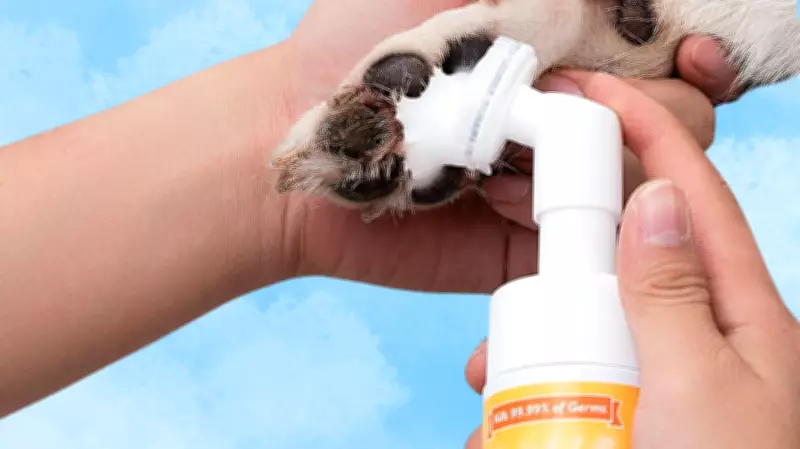 Amazon's Top 25 Household and Personal Care Products for Everyday Convenience