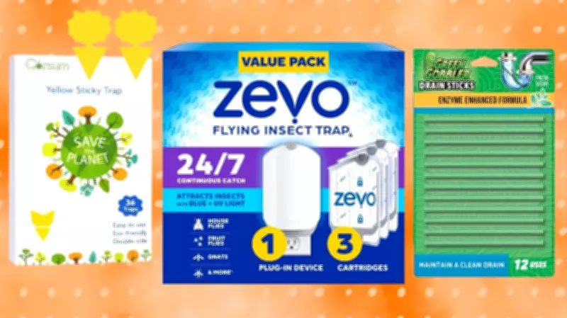 Amazon's Top Fruit Fly Traps: Effective Solutions for Pesky Household Insects