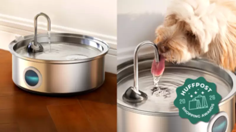 Amazon's Top-Rated Pet Water Fountain on Sale: Keep Pets Hydrated This Summer