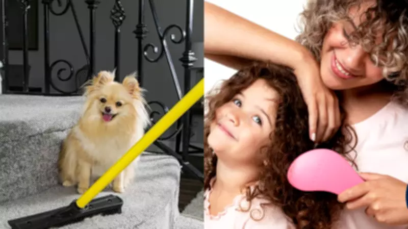 Amazon's Top-Rated Products: 32 Must-Haves Backed by Thousands of Reviews