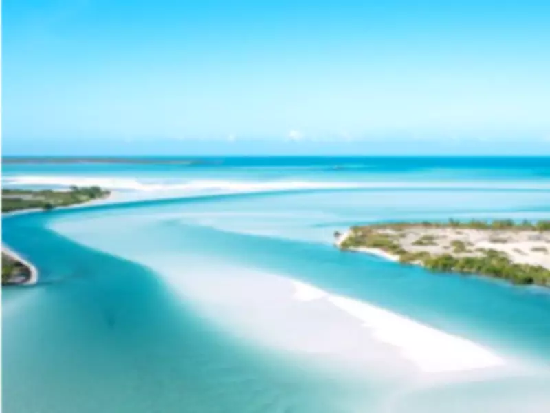 American Woman Missing in Bahamas After Falling from Dinghy During Evening Excursion