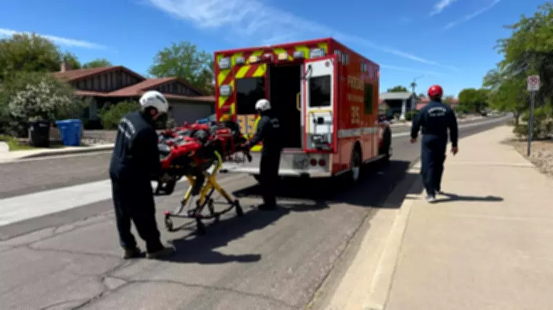 Arizona Hiker in Critical Condition After Suffering Over 100 Bee Stings on Mountain Trail