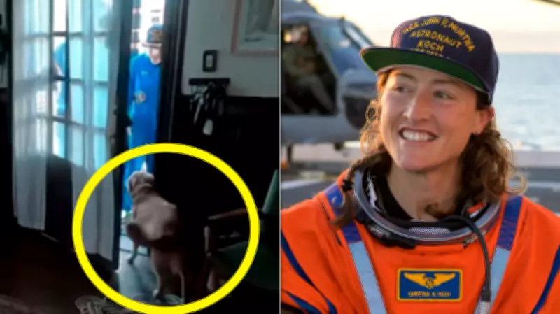 Astronaut's Dog Celebrates Lunar Mission Return with Joyful Reunion