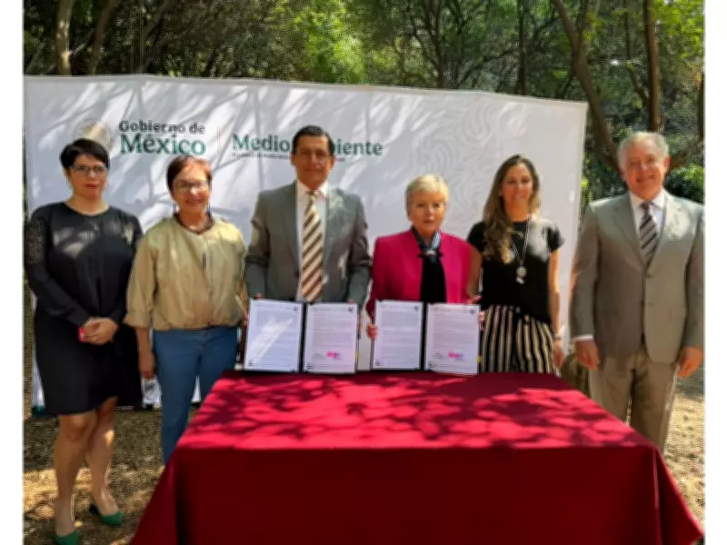 Avocados From Mexico Signs Zero Deforestation Agreement