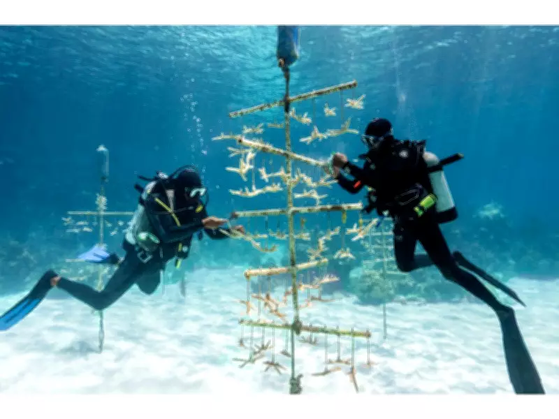 Bahamas to Host 2027 Global Sustainable Tourism Council Conference