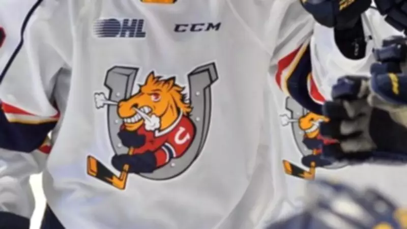 Barrie Colts Crush Niagara IceDogs 9-6, Seize Commanding Playoff Series Lead