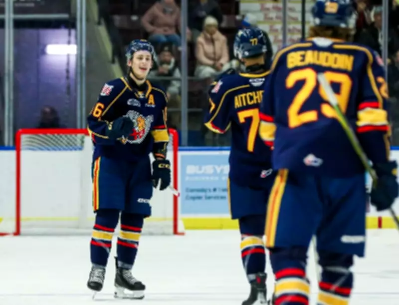 Barrie Colts Defeat Niagara IceDogs, Advance to Second Round of OHL Playoffs