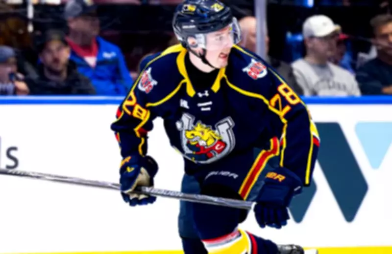 Barrie Colts Stunned 6-1 by Bulldogs in Game 4 at Home