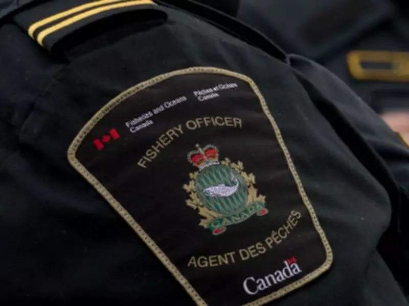 B.C. Fishing Guide Fined $12,000 for Overfishing and False Licence in Haida Gwaii