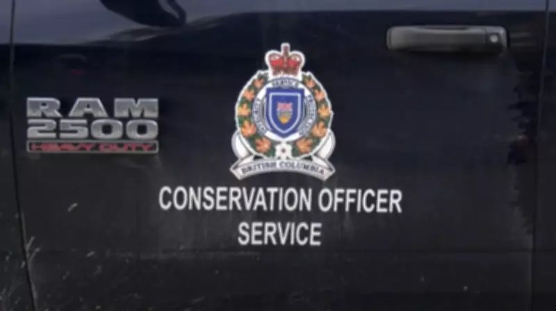 B.C. Hunting Guide Fined $30,000 for Leading Client Outside Designated Area
