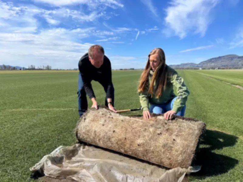 B.C. Place's World Cup Turf Grown at Family Farm in Fraser Valley