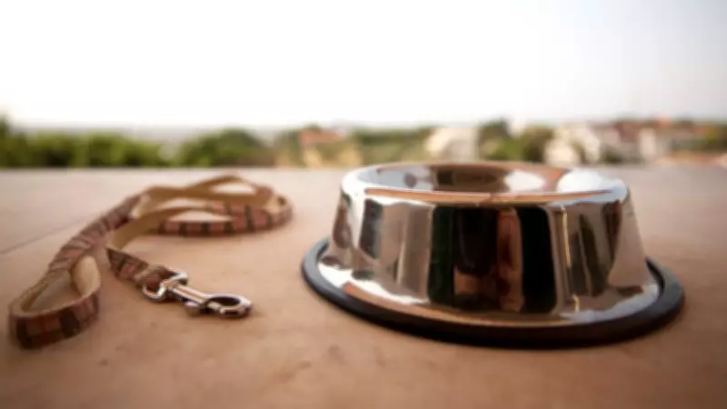 B.C. Tribunal Resolves Dispute Over Neutering Adopted Dog in Vancouver