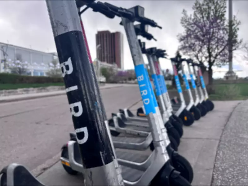 Bird Canada Aims to Maintain E-Scooter and E-Bike Services in Windsor