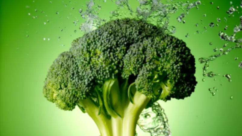 Brain Food: How Your Diet Directly Impacts Cognitive Health and Prevents Decline