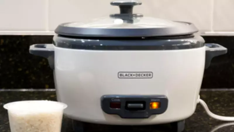 Budget-Friendly Kitchen Essential: 2-in-1 Rice Cooker Sale Under $20
