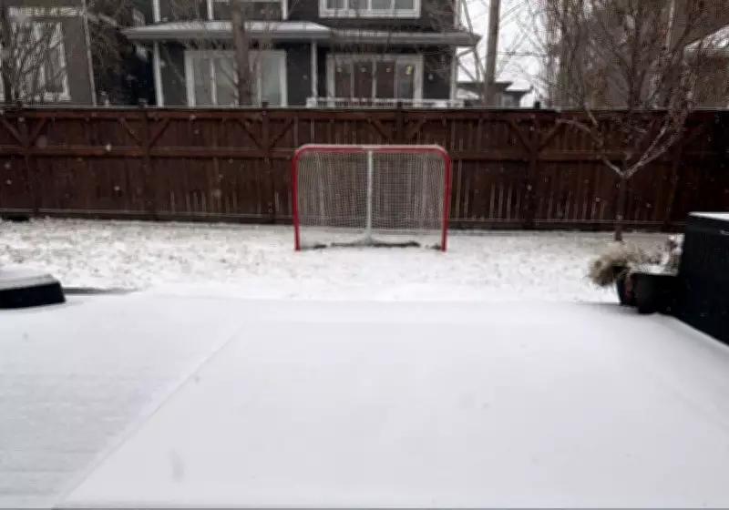 Calgary Braces for Frigid Temperatures and Heavy Snowfall This Week